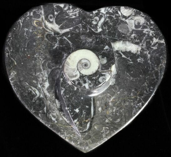 Heart Shaped Fossil Goniatite Dish #61282